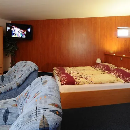 拷贝罗酒店 3* Ricany (South Moravian)