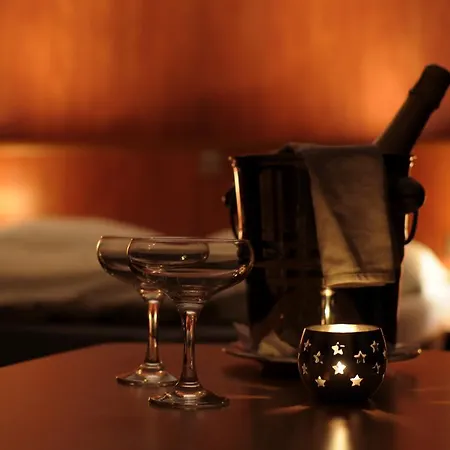 酒店 拷贝罗酒店 Ricany (South Moravian)