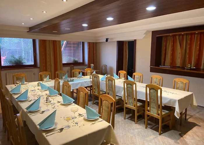 拷贝罗酒店 3* Ricany (South Moravian)