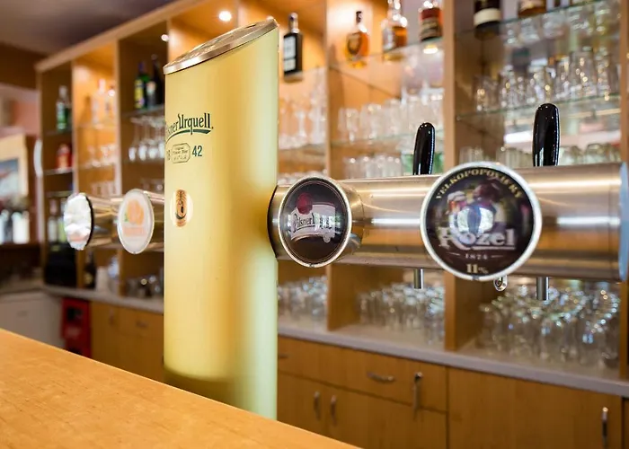 酒店 拷贝罗酒店 Ricany (South Moravian)